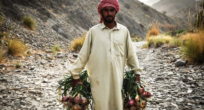 تصویر تصویر