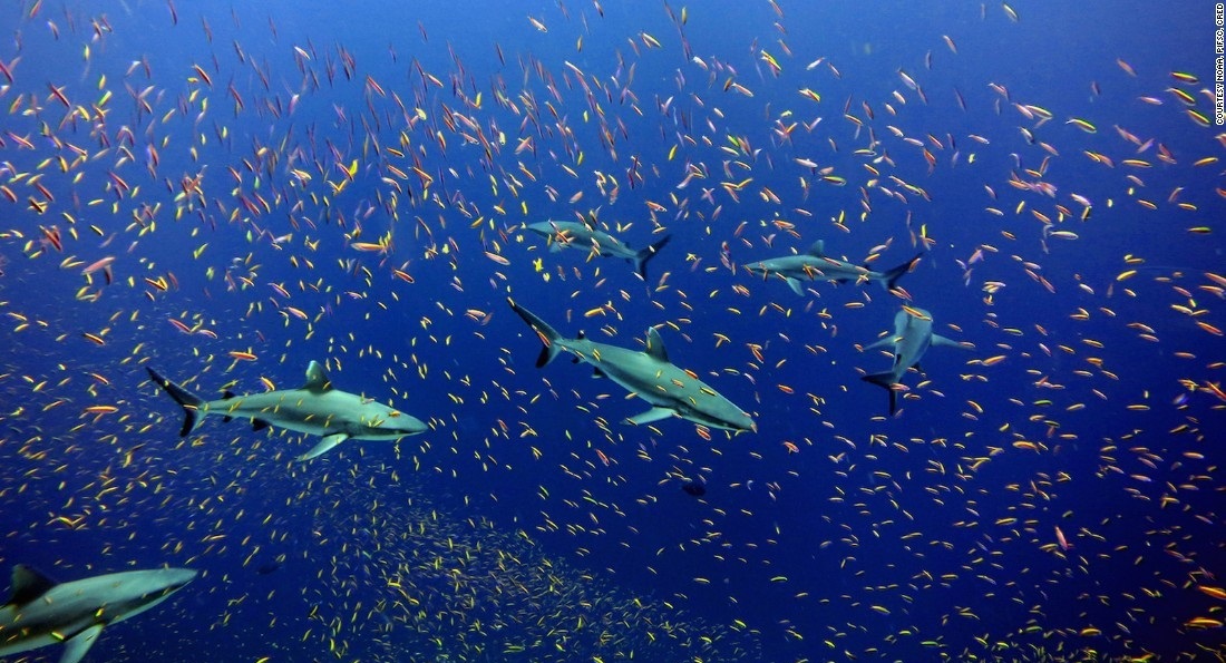 ده ذخیره‌گاه طبیعی در جهان +(تصاویر)