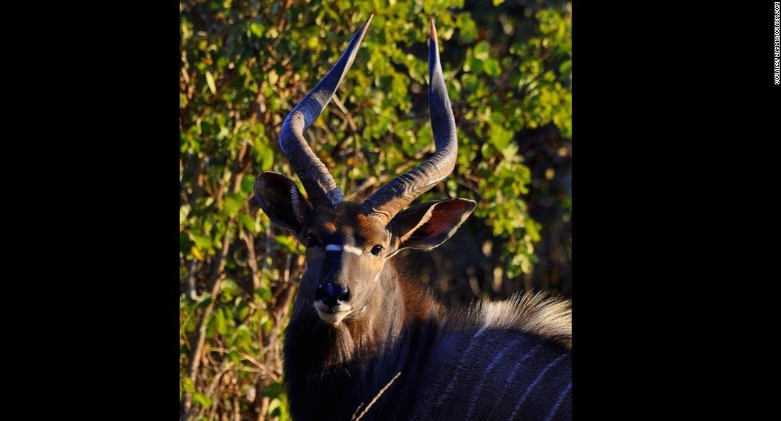 ده ذخیره‌گاه طبیعی در جهان +(تصاویر)