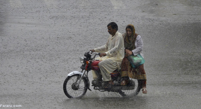 تصویر تصویر
