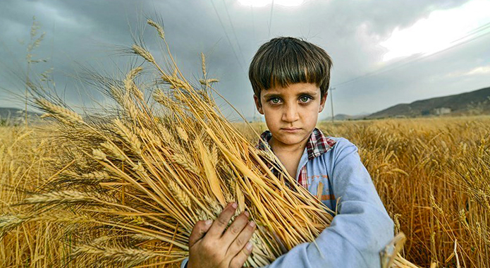 تصویر تصویر