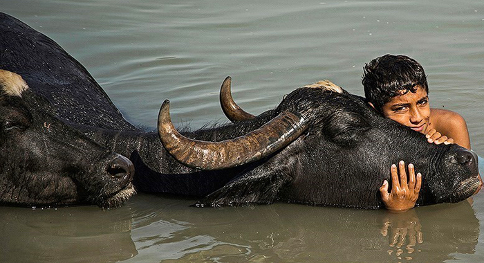تصویر تصویر