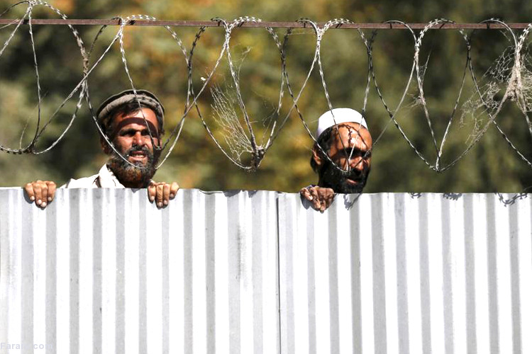 تصویر تصویر