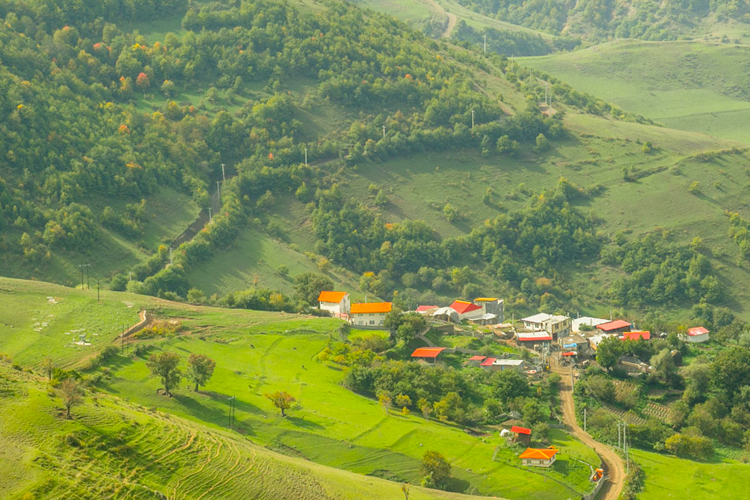 تصویر تصویر