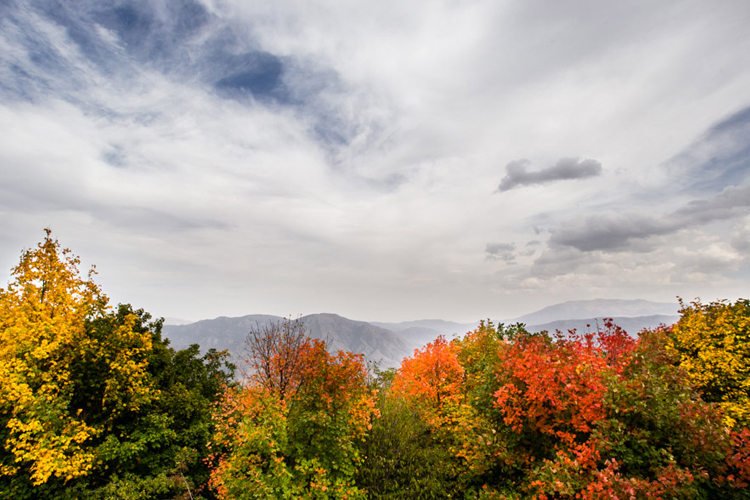 تصویر تصویر