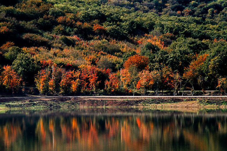 تصویر تصویر