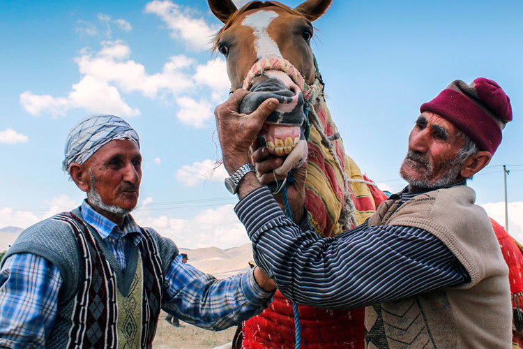 تصویر تصویر