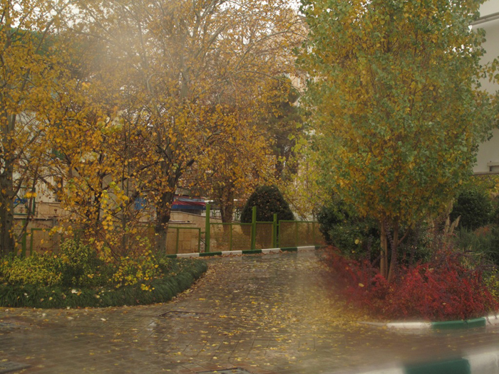 (تصاویر) آخرین روزهای پائیز تهران (تصاویر) آخرین روزهای پائیز تهران
