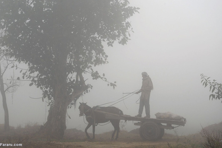 تصویر تصویر