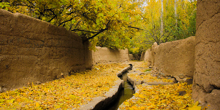 تصویر تصویر