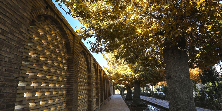 تصویر تصویر