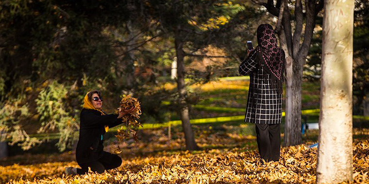تصویر تصویر