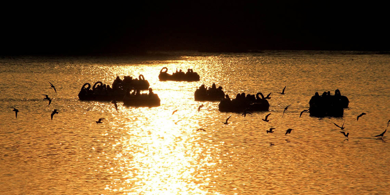 تشییع مرتضی پاشایی، تجمع علاقمندان مرتضی پاشایی، طبیعت زیبایی پاییزی، حریق طولانی در بازار و ... تشییع مرتضی پاشایی، تجمع علاقمندان مرتضی پاشایی، طبیعت زیبایی پاییزی، حریق طولانی در بازار و ...