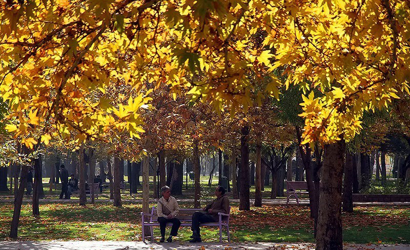 تصاویر اجتماعی هفته