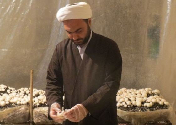 (تصاویر) پرورش قارچ در خانه امام جمعه (تصاویر) پرورش قارچ در خانه امام جمعه