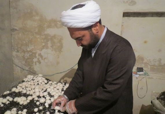 (تصاویر) پرورش قارچ در خانه امام جمعه (تصاویر) پرورش قارچ در خانه امام جمعه