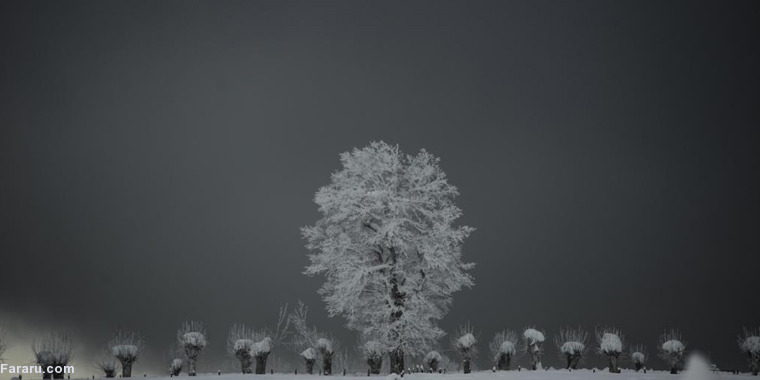 تصویر تصویر