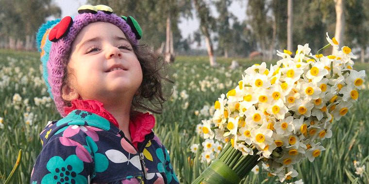 تصویر تصویر