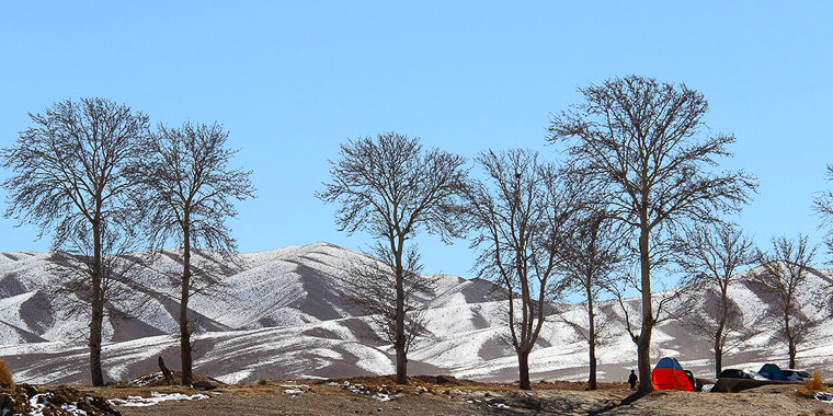 تصویر تصویر