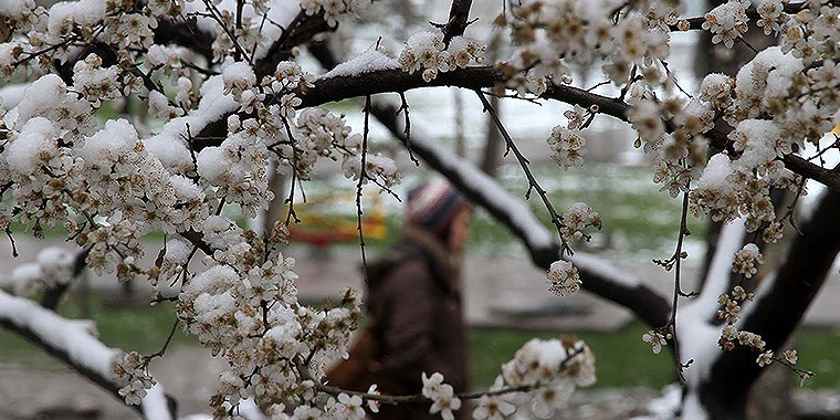 تصویر تصویر