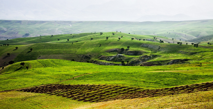 تصویر تصویر