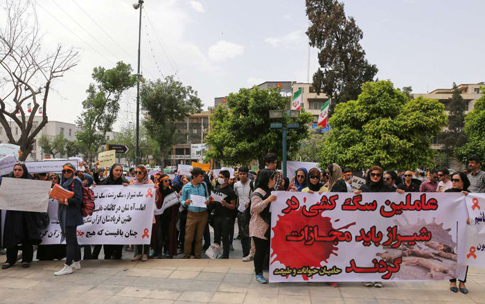 (تصاویر) اعتراض به سگکشی در شیراز (تصاویر) اعتراض به سگکشی در شیراز
