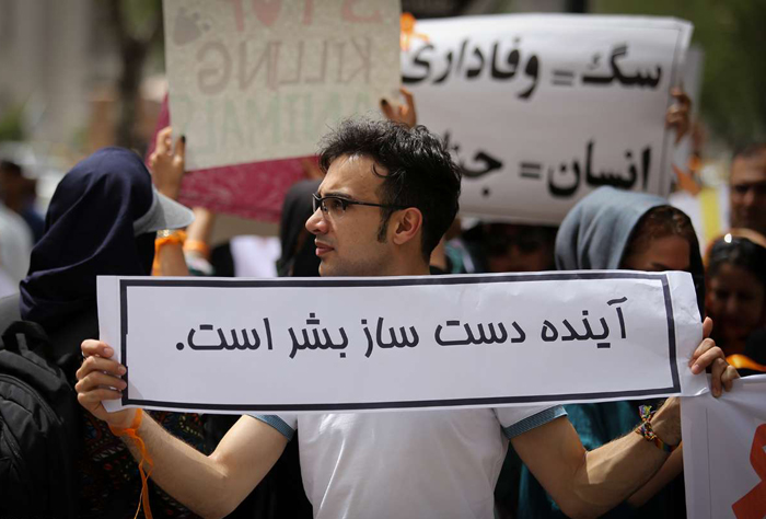(تصاویر) اعتراض به سگکشی در شیراز (تصاویر) اعتراض به سگکشی در شیراز