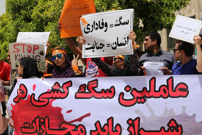 تجمع در اعتراض به سگکشی تجمع در اعتراض به سگکشی