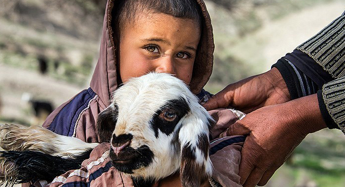 تصویر تصویر