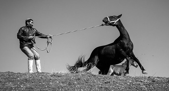 تصویر تصویر