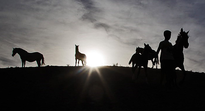 تصویر تصویر