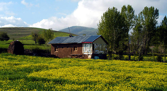 تصویر تصویر