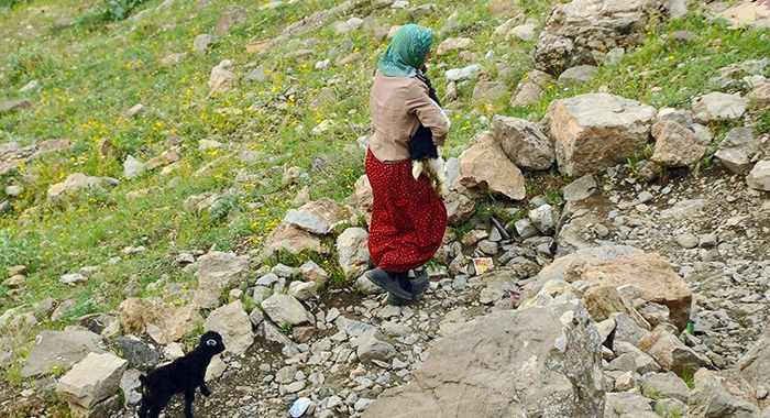 تصویر تصویر