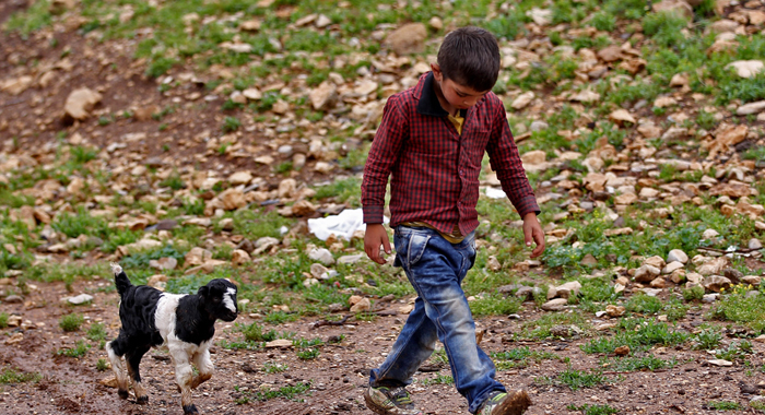 تصویر تصویر