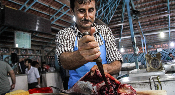 تصویر تصویر