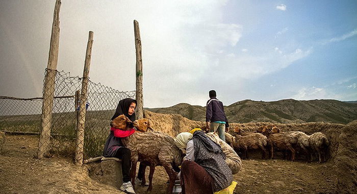 تصویر تصویر