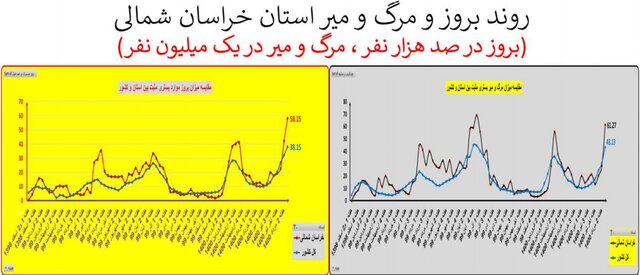 کرونا در ایران