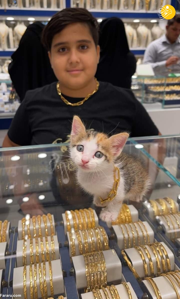 (عکس)