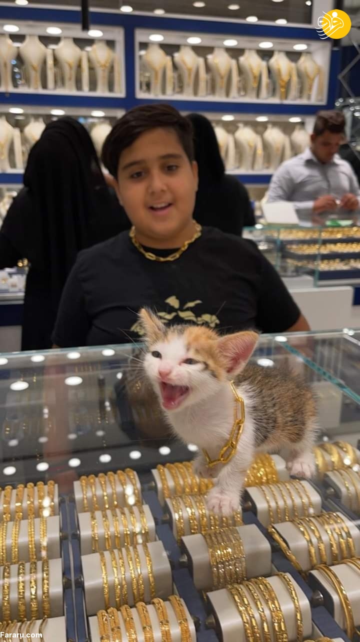 (عکس)
