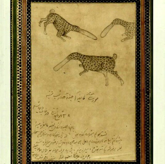 نقاشی‌های دیده نشده ناصرالدین شاه از همسران و نزدیکانش