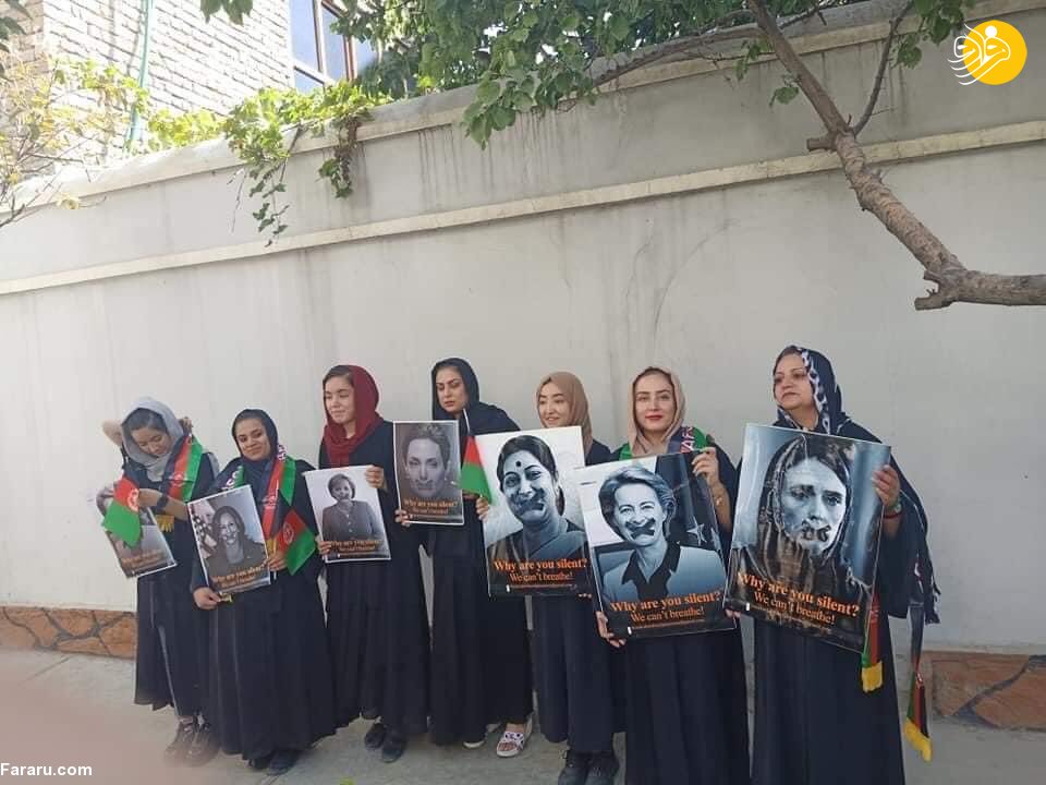 (تصاویر)