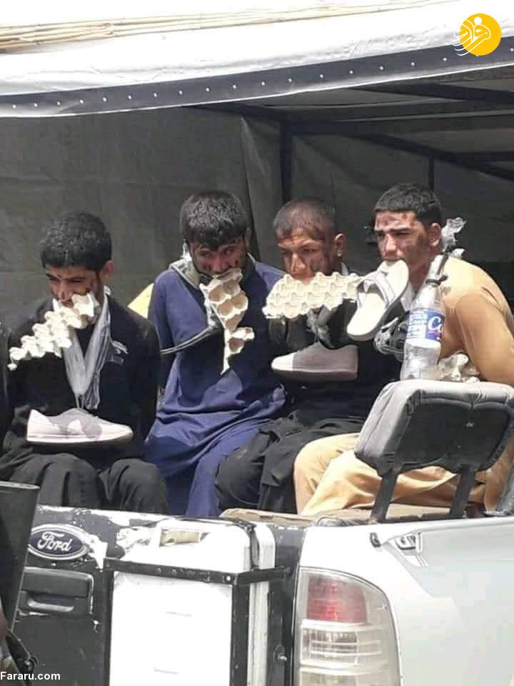 (تصاویر)