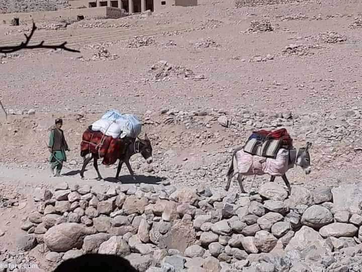 (عکس)
