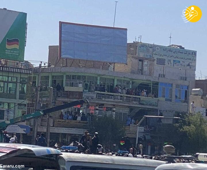 (تصاویر)