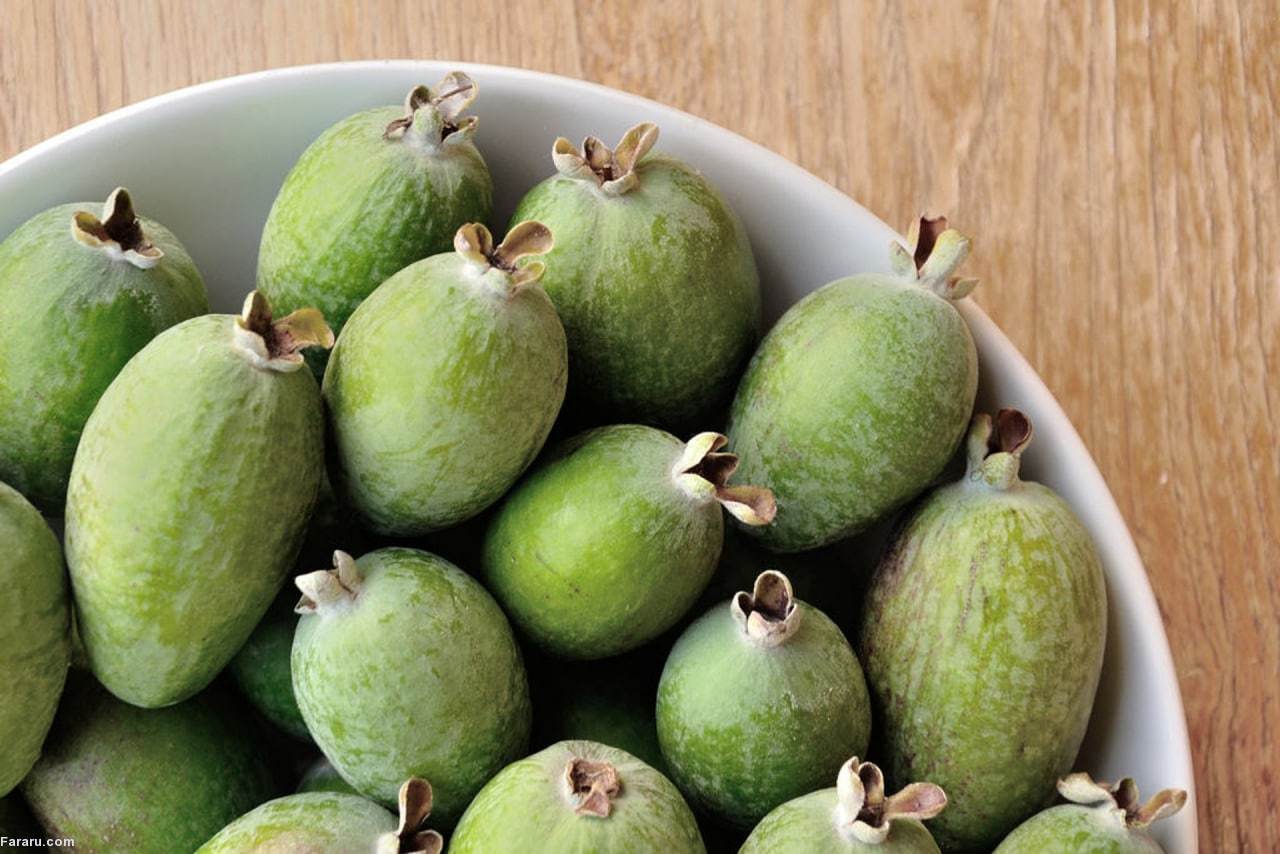 استفاده سنتی از فیجوا