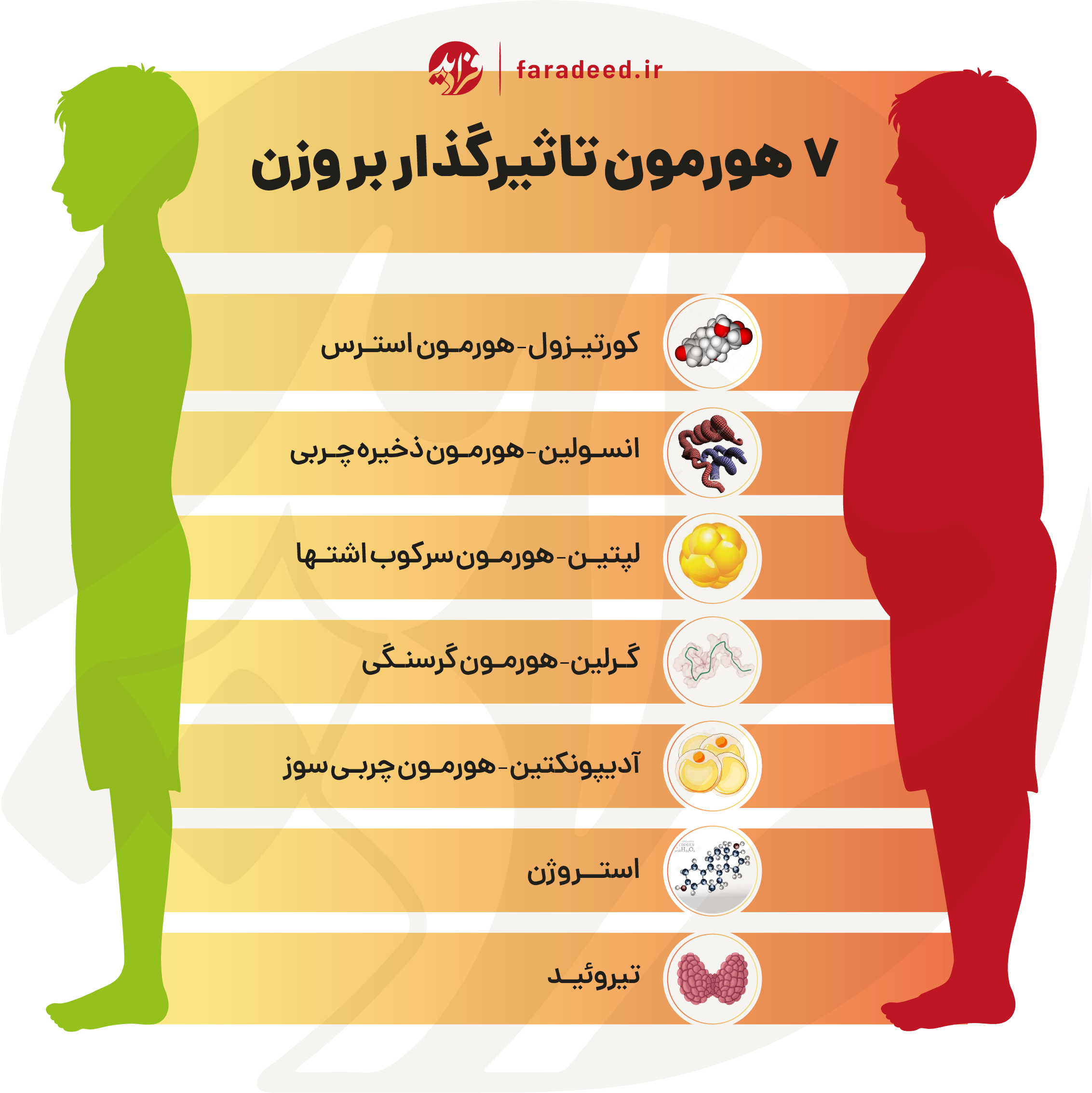 افزایش وزن