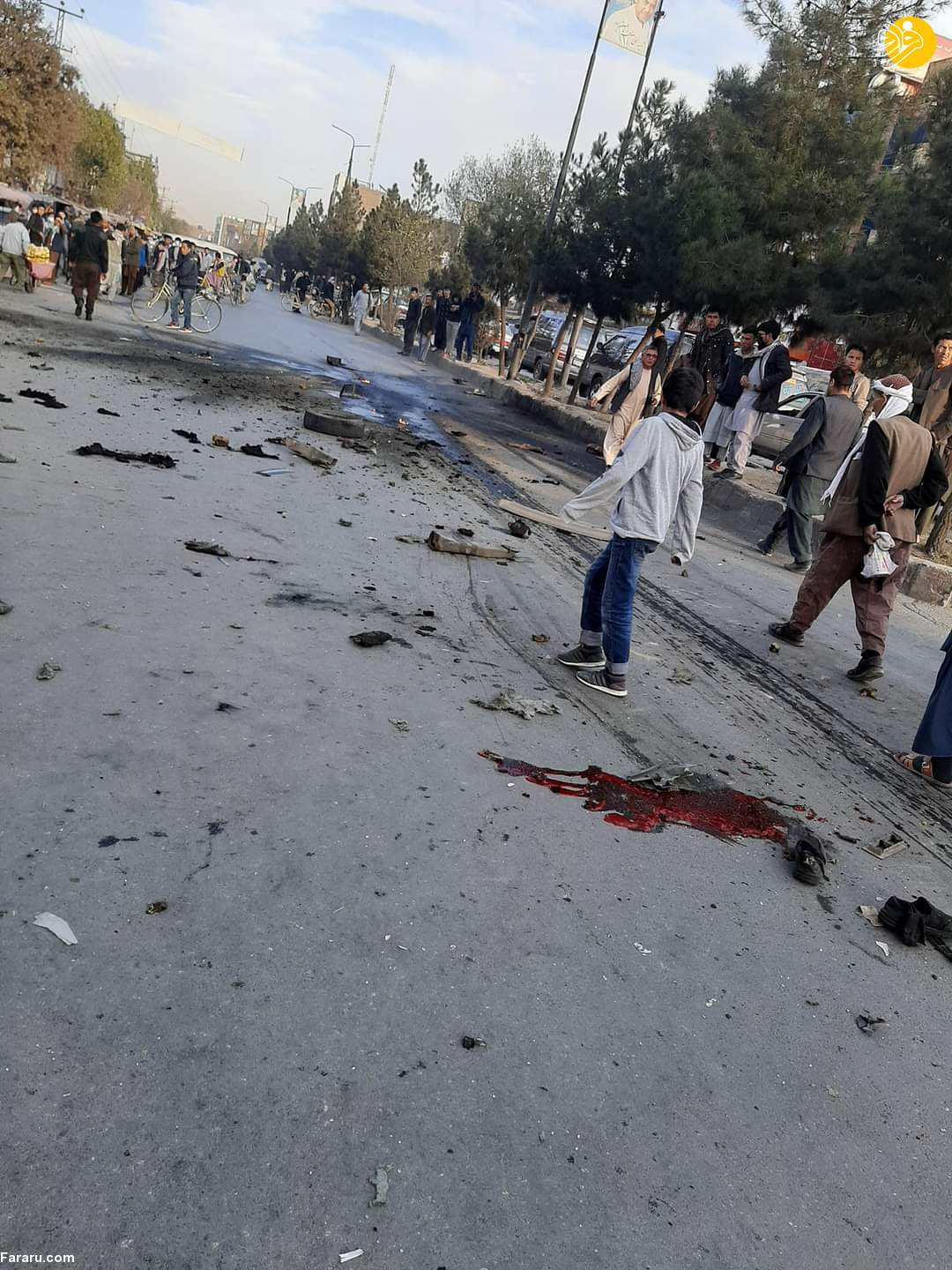 (تصاویر)