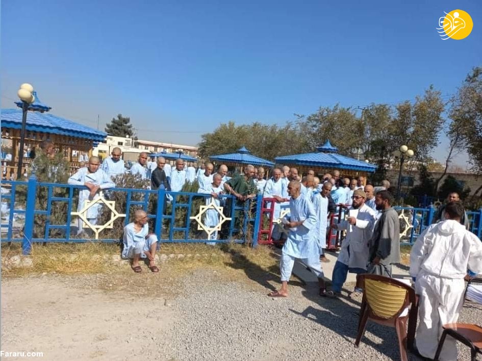 (تصاویر)