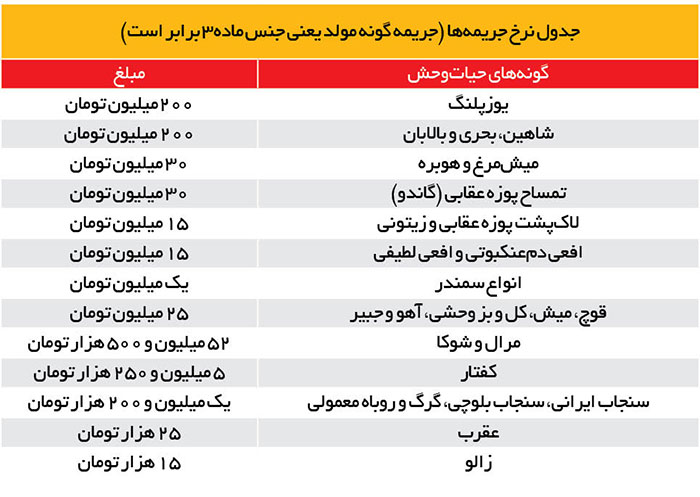 ارسال حیات‌وحش با پست و اسنپ؛ بچه‌شیر ۱۵۰ و یوزپلنگ ۲۰۰میلیون تومان!