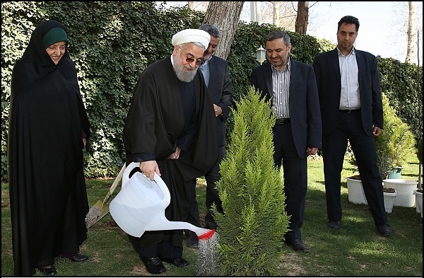 (تصاویر) همکاری روحانی، جهانگیری و ابتکار برای کاشت یک نهال